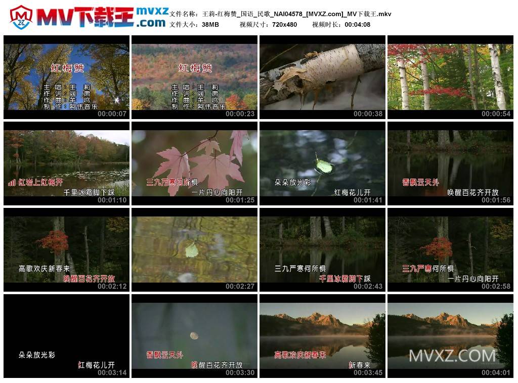 王莉-红梅赞_国语_民歌_NAI04578